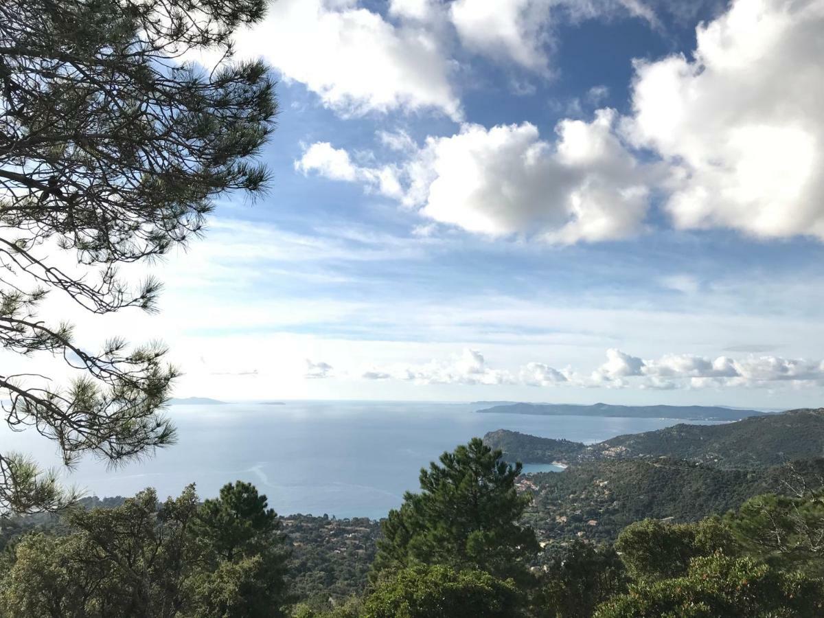 T2 Moderne Avec Jardin Appartement Le Le Rayol-Canadel-sur-Mer Buitenkant foto